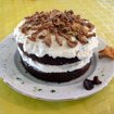 Hummingbird Cake con Cantarelas