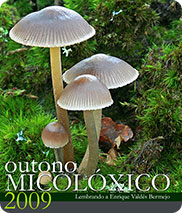 Outono Micolóxico 2007