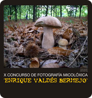 Concurso de Fotografía Enrique Valdés 2008