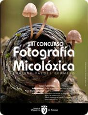 Concurso de Fotografía Enrique Valdés 2011