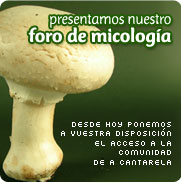 Conoce nuestro foro Micológico