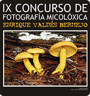 Concurso de Fotografía Enrique Valdés