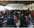 Festa dos Cogomelos - Outono Micolóxico 2011