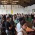 Festa dos Cogomelos - Outono Micolóxico