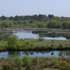 Salidas de Primavera - Lagoas de Cospeito