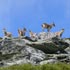 Salidas de Primavera - La Alberca - Peña de Francia