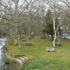 Salidas de Primavera - Ruta da Auga de Guitiriz