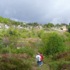 Salidas de Primavera - Ruta de Peña Cordeira