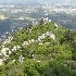 Salidas de Primavera - Portugal