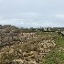 Salidas de Primavera - Ruta de Camposancos a A Guarda