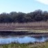 Saídas primavera - Ruta de Pedras Negras a Punta Moreiras