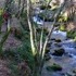 Saídas primavera - Ruta del Río San Martiño