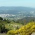 Saídas primavera - Sendero de A Picaraña