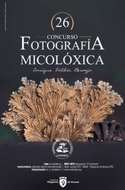 Concurso de Fotografía Micológica Enrique Valdés