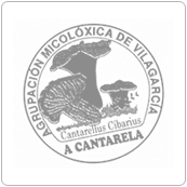 Logotipo Asociación Micolóxica A Cantarela